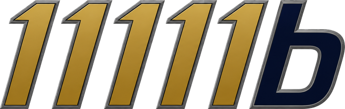 11111b